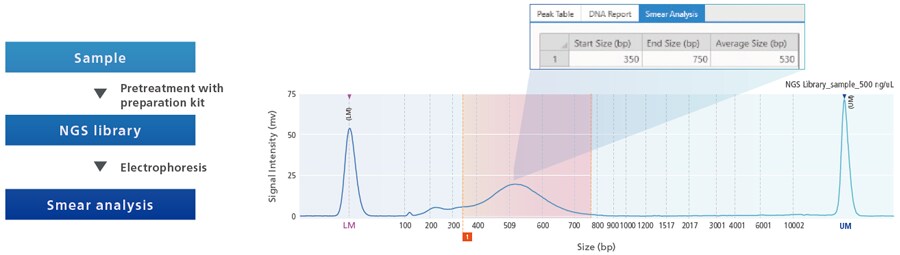multiNA II MCE-301 Shimadzu