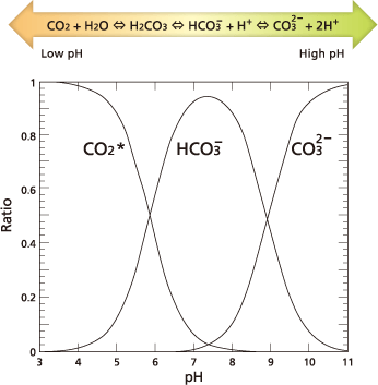 Измерване на IC