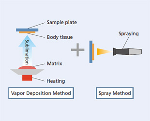 Both Sensitivity and Spatial Resolution Achieved