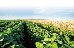 Smart Pesticides Database